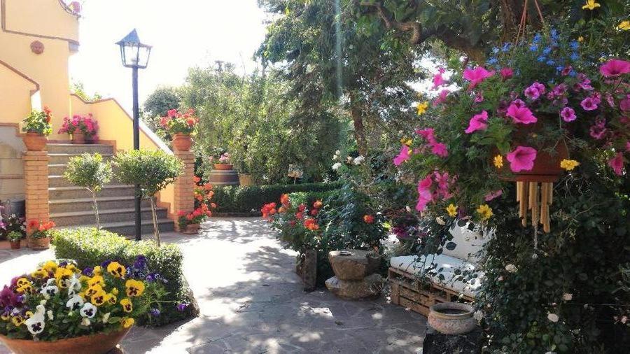 كاستيلينا ماريتيما Bed And Breakfast Val Di Lupa المظهر الخارجي الصورة